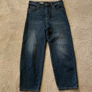 Pilcro Anthropologie High Waist Jeans Size 29